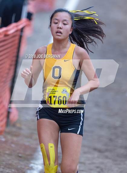 Thumbnail 3 in CIF State Cross Country Championships (Girls D4 Race) photogallery.