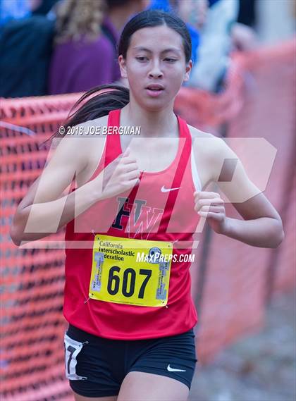 Thumbnail 2 in CIF State Cross Country Championships (Girls D4 Race) photogallery.