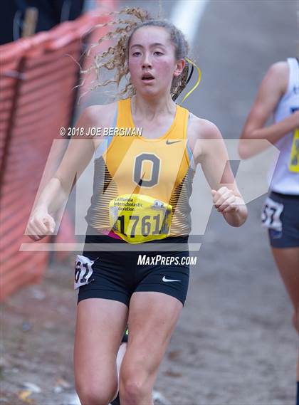 Thumbnail 1 in CIF State Cross Country Championships (Girls D4 Race) photogallery.