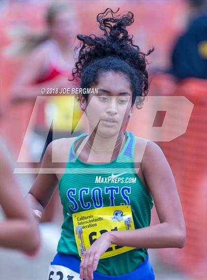 Thumbnail 1 in CIF State Cross Country Championships (Girls D4 Race) photogallery.