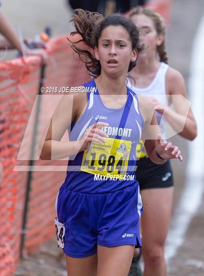 Thumbnail 1 in CIF State Cross Country Championships (Girls D4 Race) photogallery.