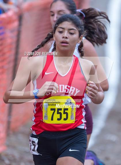 Thumbnail 2 in CIF State Cross Country Championships (Girls D4 Race) photogallery.