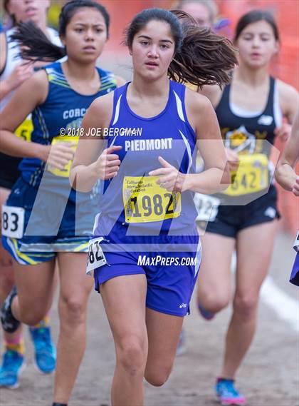 Thumbnail 1 in CIF State Cross Country Championships (Girls D4 Race) photogallery.