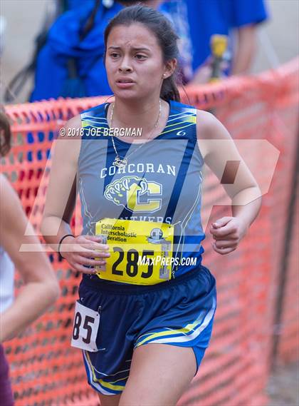 Thumbnail 1 in CIF State Cross Country Championships (Girls D4 Race) photogallery.