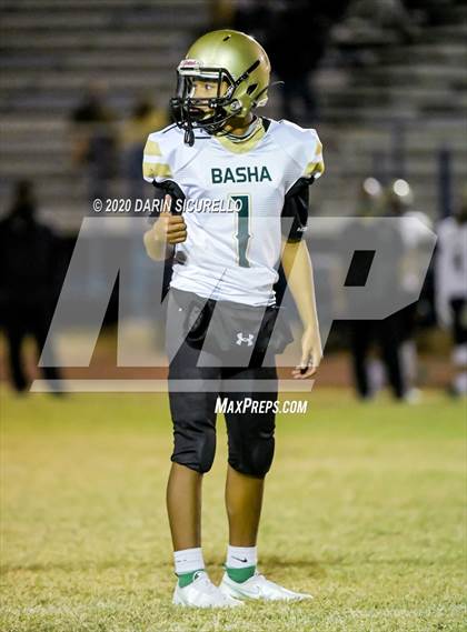 Thumbnail 3 in Basha @ Mountain View photogallery.