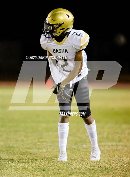 Thumbnail 3 in Basha @ Mountain View photogallery.