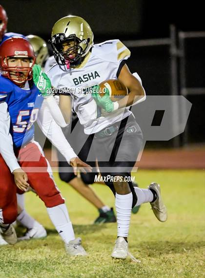 Thumbnail 1 in Basha @ Mountain View photogallery.