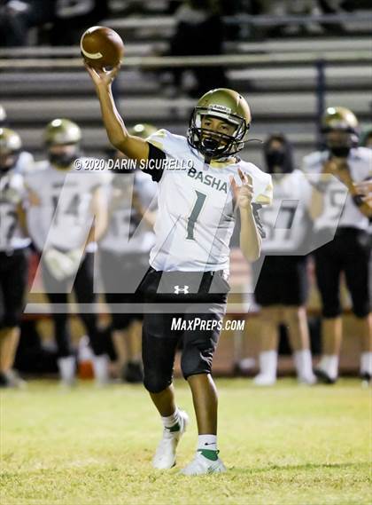 Thumbnail 3 in Basha @ Mountain View photogallery.