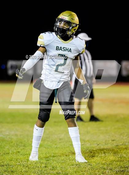 Thumbnail 3 in Basha @ Mountain View photogallery.