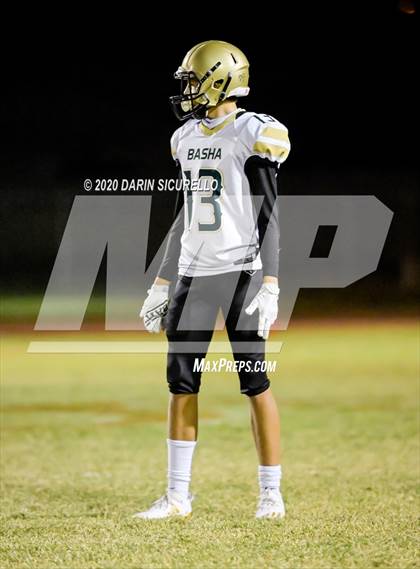 Thumbnail 2 in Basha @ Mountain View photogallery.