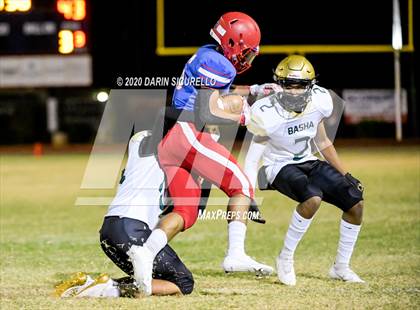 Thumbnail 2 in Basha @ Mountain View photogallery.
