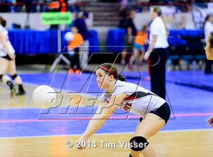 Thumbnail 1 in Idalia vs. McClave (CHSAA 1A Playoff) photogallery.