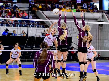 Thumbnail 1 in Idalia vs. McClave (CHSAA 1A Playoff) photogallery.