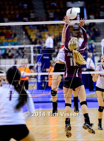 Thumbnail 2 in Idalia vs. McClave (CHSAA 1A Playoff) photogallery.