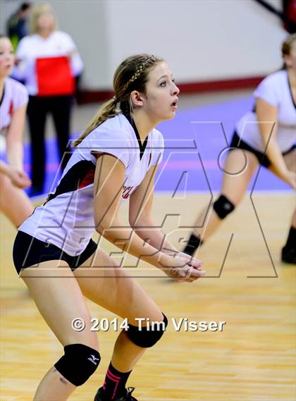 Thumbnail 1 in Idalia vs. McClave (CHSAA 1A Playoff) photogallery.