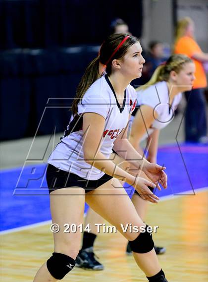 Thumbnail 1 in Idalia vs. McClave (CHSAA 1A Playoff) photogallery.