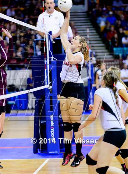 Thumbnail 1 in Idalia vs. McClave (CHSAA 1A Playoff) photogallery.