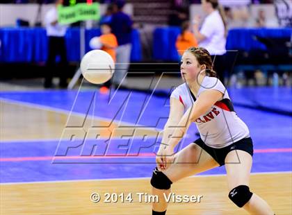 Thumbnail 1 in Idalia vs. McClave (CHSAA 1A Playoff) photogallery.