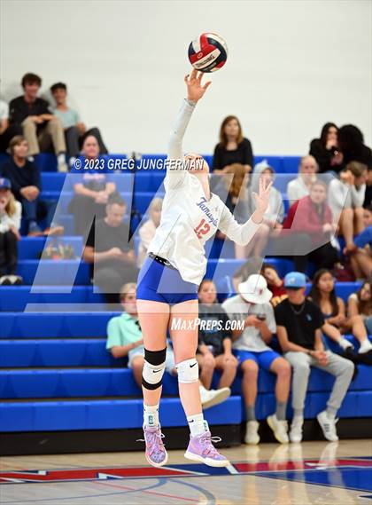 Thumbnail 3 in Cardinal Newman @ Tamalpais photogallery.