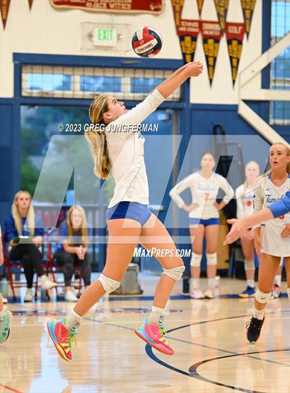 Thumbnail 2 in Cardinal Newman @ Tamalpais photogallery.