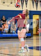 Photo from the gallery "Cardinal Newman @ Tamalpais"