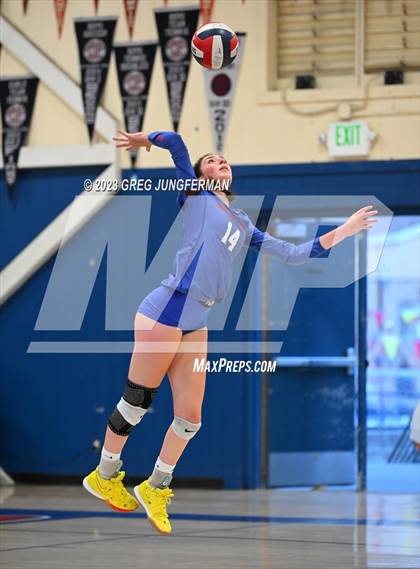 Thumbnail 3 in Cardinal Newman @ Tamalpais photogallery.