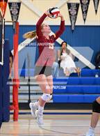 Photo from the gallery "Cardinal Newman @ Tamalpais"