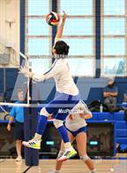 Photo from the gallery "Cardinal Newman @ Tamalpais"