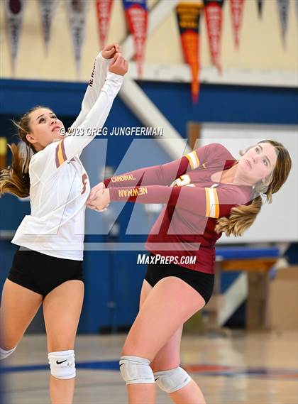 Thumbnail 2 in Cardinal Newman @ Tamalpais photogallery.