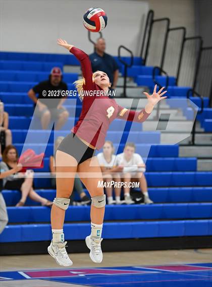Thumbnail 1 in Cardinal Newman @ Tamalpais photogallery.
