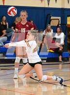 Photo from the gallery "Cardinal Newman @ Tamalpais"