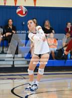 Photo from the gallery "Cardinal Newman @ Tamalpais"