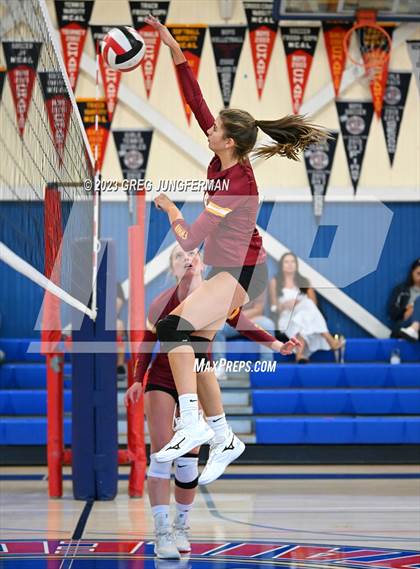 Thumbnail 2 in Cardinal Newman @ Tamalpais photogallery.
