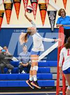 Photo from the gallery "Cardinal Newman @ Tamalpais"