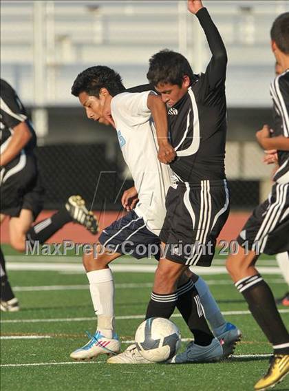 Thumbnail 1 in Florin @ Burbank photogallery.