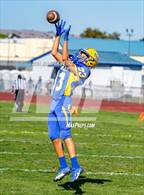Photo from the gallery "Sequoia @ Newark Memorial"