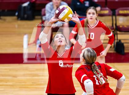 Thumbnail 2 in McLean @ Oakton photogallery.