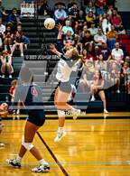 Photo from the gallery "Discovery Canyon @ The Classical Academy"