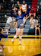 Photo from the gallery "Discovery Canyon @ The Classical Academy"