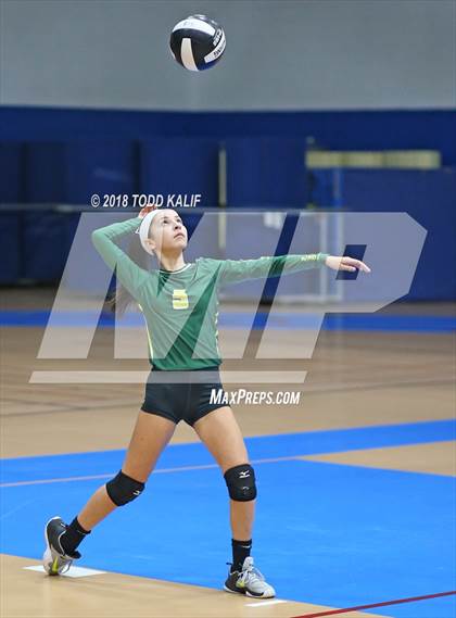 Thumbnail 1 in Coventry vs Sports & Medical Sciences Academy (CIAC Class S Semifinal) photogallery.