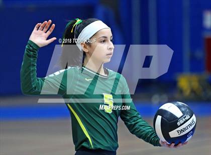 Thumbnail 1 in Coventry vs Sports & Medical Sciences Academy (CIAC Class S Semifinal) photogallery.