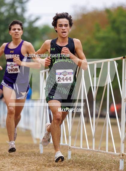 Thumbnail 3 in UIL Cross Country 5A Finals (5K) photogallery.