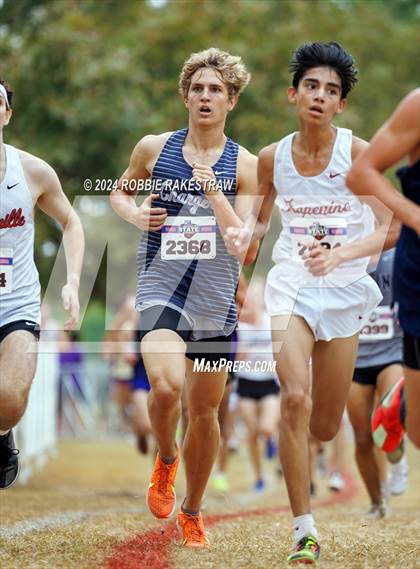 Thumbnail 1 in UIL Cross Country 5A Finals (5K) photogallery.