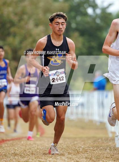 Thumbnail 3 in UIL Cross Country 5A Finals (5K) photogallery.