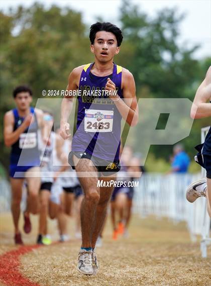 Thumbnail 3 in UIL Cross Country 5A Finals (5K) photogallery.