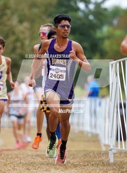 Thumbnail 3 in UIL Cross Country 5A Finals (5K) photogallery.
