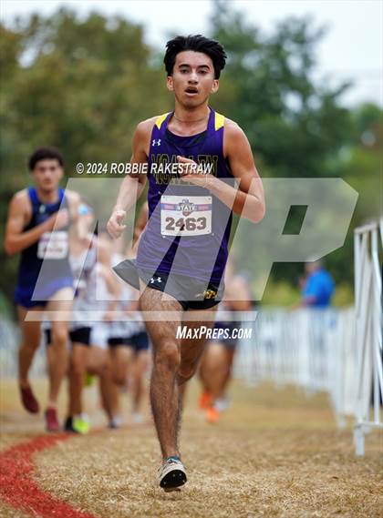 Thumbnail 1 in UIL Cross Country 5A Finals (5K) photogallery.