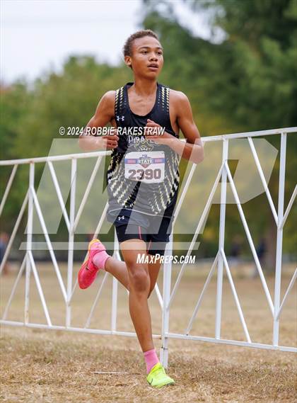 Thumbnail 1 in UIL Cross Country 5A Finals (5K) photogallery.