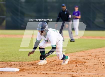 Thumbnail 2 in Spoto @ Sumner photogallery.