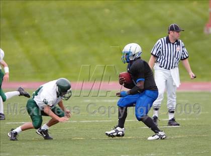 Thumbnail 2 in Washington @ Hinkley photogallery.